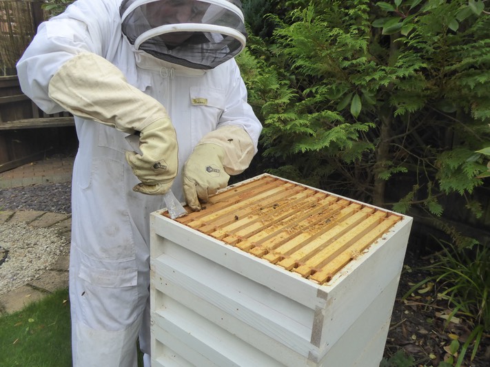 Honey harvest October 2014 - 08