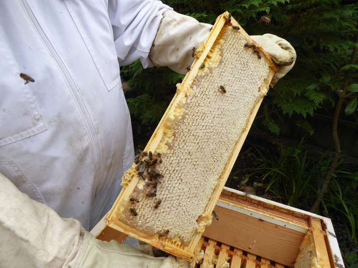Honey harvest October 2014 - 14