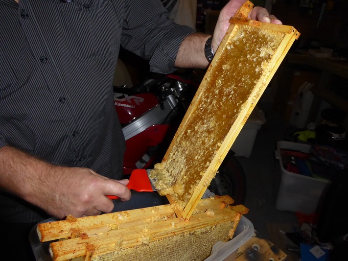 Honey harvest October 2014 - 16