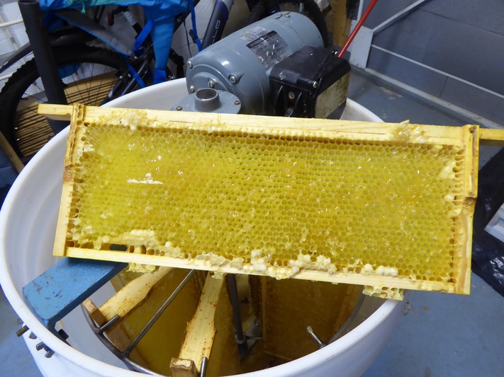Honey harvest October 2014 - 19